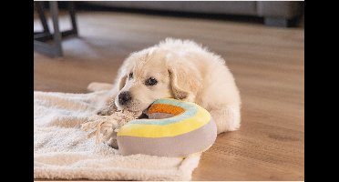 Beeztees Puppy Knuffel Regenboog Joie