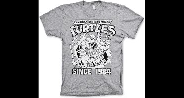 Teenage Mutant Ninja Turtles TMNT Distressed Since 1984 T-Shirt Heather-Grey-S