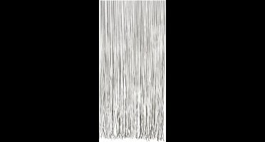 Lesli Living Twist - Vliegengordijn - 90x220 cm - Mixed/Doorzichtig/Zwart