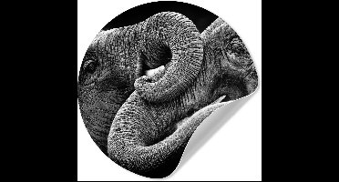 WallCircle® - Behangcirkel 30x30 cm - Muurstickers Omhelzing olifanten op zwarte achtergrond in zwart-wit - Muurcirkel woonkamer - Wandcirkel slaapkamer - Kamer decoratie zelfklevend - Muurdecoratie accessoires