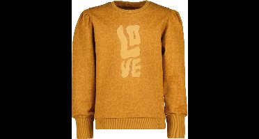 4PRESIDENT Sweater meisjes - Cathay Spice Aop - Maat 164 - Meisjes trui