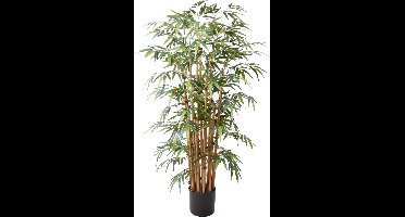 Emerald - Kunstplant Bamboe Deluxe 145cm - Kunstplant voor binnen