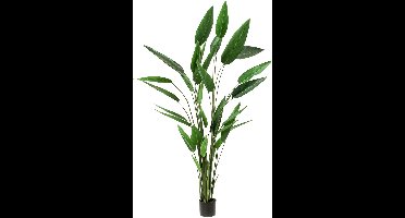 Emerald - Kunstplant Heliconia 220cm - Kunstplant voor binnen