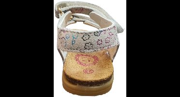 Develab 48490-199 Maat 22