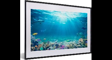 PosterMonkey - Poster - Poster in lijst - Fotolijst - Vissen - Onderwaterwereld - Water - Tropische vissen - 60x40 cm - Kader - Kamer decoratie - Poster met frame - Wanddecoratie natuur - Poster natuur