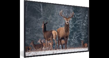 PosterMonkey - Poster - Fotolijst - Herten - Landschap - Dieren - Winter - Sneeuw - 120x80 cm - Kader - Poster met lijst - Frame poster - Poster hert - Poster dieren