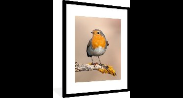 PosterMonkey - Poster - Fotolijst - Roodborstje - Vogel - Takken - Dier - 60x80 cm - Poster natuur - Poster vogels - Muurdecoratie - Poster met kader - Foto in lijst