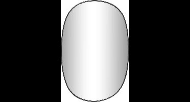 vidaXL - Wandspiegel - 50x35 - cm - zwart