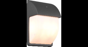 LED Tuinverlichting met Dag en Nacht Sensor - Buitenlamp - Torna Menaki - E14 Fitting - Spatwaterdicht IP44 - Ovaal - Mat Antraciet - Aluminium