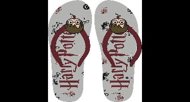 Slippers voor Kinderen Harry Potter