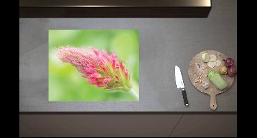 Inductieplaat Beschermer - Felroze Klaverbloem in Groen Veld - 60x52 cm - 2 mm Dik - Inductie Beschermer van Vinyl