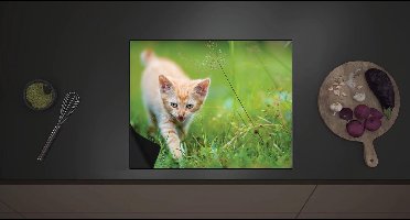 Inductie Beschermer - Wilde Roodharige Kitten in Groen Grasveld - 60x52 cm - 2 mm Dik - Inductieplaat Beschermer met zwarte kern