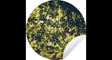 WallCircle - Muurstickers - Behangcirkel - Bladeren - Natuur - Boom - Zon - ⌀ 30 cm - Muurcirkel - Zelfklevend - Ronde Behangsticker