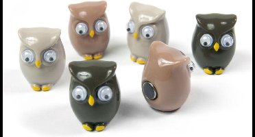 Trendform magneten uil