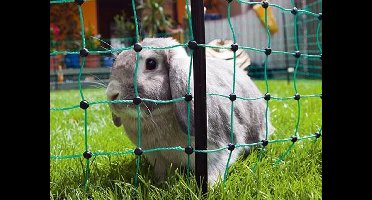 AKO Paaltje zwart v. konijnennet enkele pen