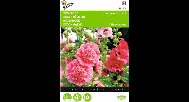 2 stuks - Buzzy - Althaea Alcea Rosea Summer Carnival