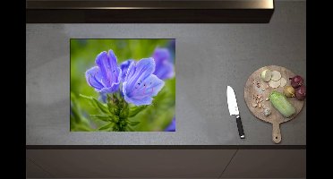 Inductieplaat Beschermer - Close Up van Blauwe Slangenkruid Bloemen - 57x50 cm - 2 mm Dik - Inductie Beschermer - Bescherming Inductiekookplaat - Kookplaat Beschermer van Wit Vinyl