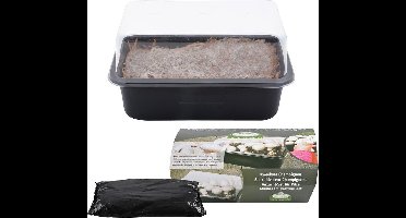 Esschert Design - Kweekset Champignon B1009