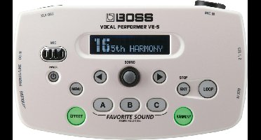 VE-5 Vocal performer wit