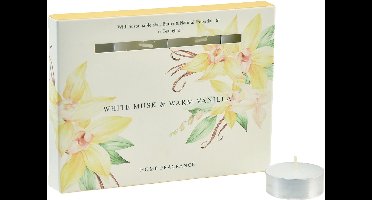 Theelichten Musk/Vanille 12-delig