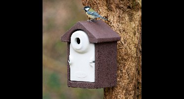 CJ Wildlife Nestkast - Aanbevolen door de Vogelbescherming Nederland - Sevilla - 32mm - Nestkastje voor o.a. Koolmees, Boomklevers & Mussen - Woodstone Vogelhuisje - FSC-gecertificeerd - Bruin