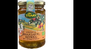 Traay Sinaasappelhoning bio 350 Gram