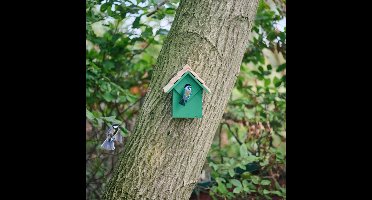 Nestkast Diamond - groen 32 mm