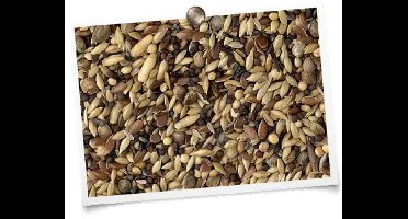 Hobbyfirst King Inlandse vogels 20 kg vogelvoer