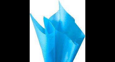 Dik Turquoise Vloeipapier – 28 Grams,50x75 cm 240 vel