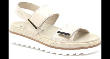 none DOMINICA - Wijdte G