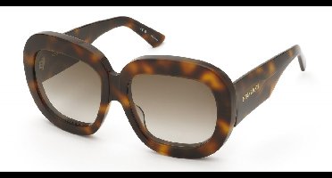 Nina Ricci SNR402 Avana scura lucida 57/17/145 WOMAN Zonnebrillen