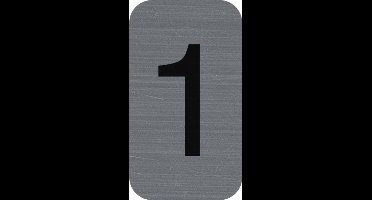 Exacompta Zelfklevend plaatje in imitatie aluminium Cijfer 1 - 2,5x4,4 cm - Grijs - 67181E