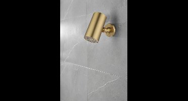 Wiesbaden UniMatch Beam Hoofddouche - 1 Stand met Muurbevestiging - Rond - Geborsteld Messing PVD