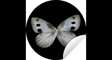 WallCircle - Muurstickers - Behangcirkel - Vlinder - Insecten - Zwart - ⌀ 30 cm - Muurcirkel - Zelfklevend - Ronde Behangsticker