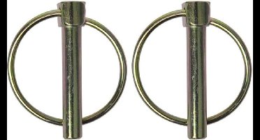 ProPlus Borgpen - Ø 8 mm - Ø 38 mm ring - 2 stuks - robuust staal