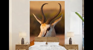 Behang - Fotobehang Gazelle - Portret - Zon - Breedte 195 cm x hoogte 300 cm