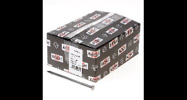 Noord Ned. draadind. BV. draadnagels blank - 5 kg