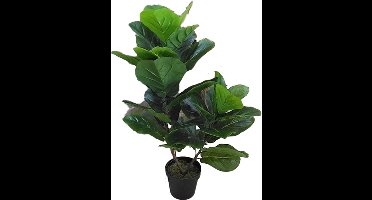 Kunst Fiddle tree - 85 cm