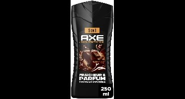 Axe Dark Temptation Shower Gel 250 ml