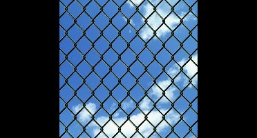 Draadgaas Tuinhek – Draadgaas Hekwerk – Stalen Gaas – Tuingaas Raster – Draadgaas Omheining – Duurzaam Staal – 1,25 x 25 Meter