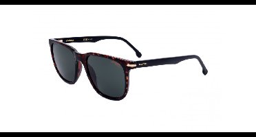 Carrera CARRERA 300/S Havana 54/18/145 UNISEX Zonnebrillen