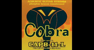 Snarenset akoestische gitaar, phosphor bronze wound, light