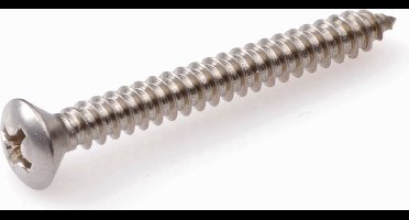 Hoenderdaal zelftappende plaatschroeven RVS A2 PH-1 lenskop 2,9 x 25 mm 200 stuks