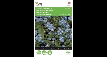 Myosotis alpestris (vergeet-me-nietje)