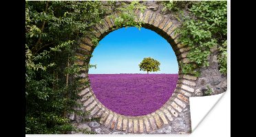 Poster Lavendel - Doorkijk - Bloemen - Zomer - 30x20 cm