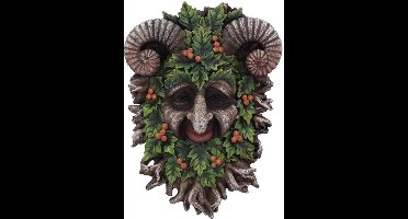 Nemesis Now Muurdecoratie Rawan 21.3cm Multicolours