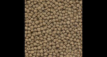 Flamingo Schildpad Korrelvoer - 1000