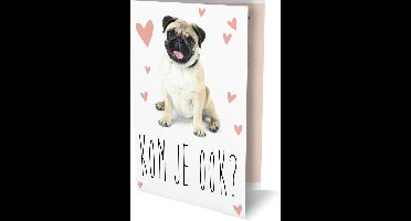 Uitnodigingskaarten - Mopshondje - 6st.