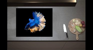 Inductieplaat Beschermer - Blauwe Siamese Kempvis van de Zijkant tegen Zwarte Achtergrond - 70x55 cm - 2 mm Dik - Inductie Beschermer - Bescherming Inductiekookplaat - Kookplaat Beschermer van Zwart Vinyl