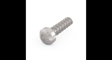 LIKOSCHR-TORX.2.5X9.3 100ST